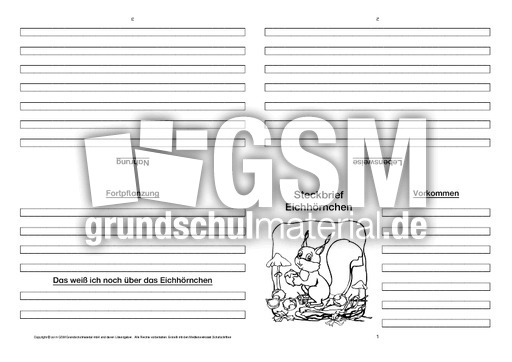 Eichhörnchen-Faltbuch-vierseitig-3.pdf